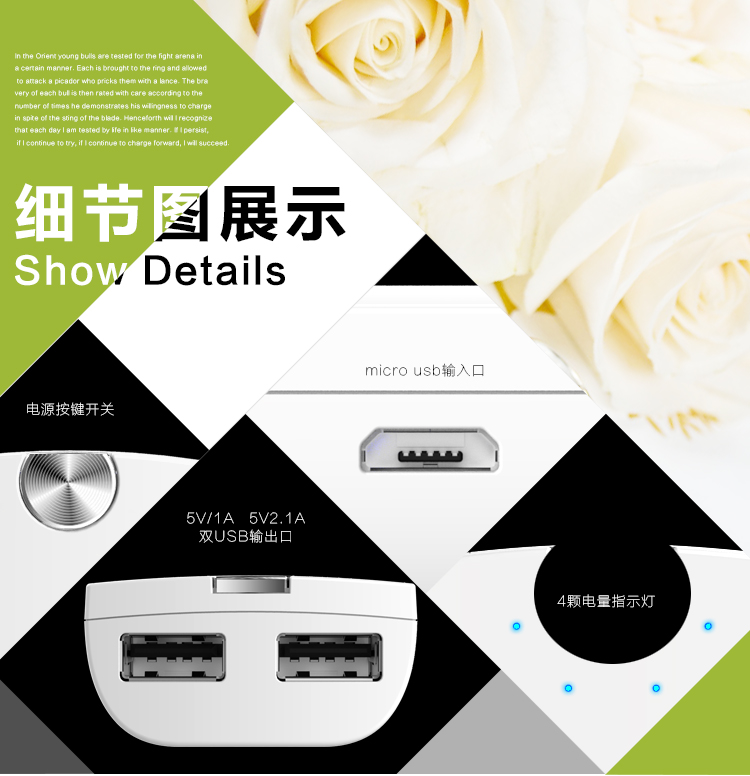 
                                        飞利浦(PHILIPS) 5200毫安 移动电源/充电宝 便携小巧 双USB输出 DLP2053 白色 适用于手机/平板等                