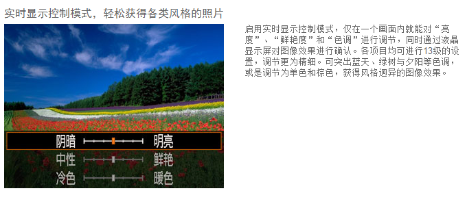 佳能（Canon）PowerShot SX530 HS 数码相机（ 1600万像素 、50倍光学变焦）单机版