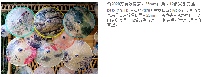 佳能（Canon）IXUS 275 HS 数码相机（2020万像素 12倍光学变焦 25mm超广角）黑色套装（16卡+相机包）