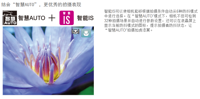 佳能（Canon）PowerShot SX530 HS 数码相机（ 1600万像素 、50倍光学变焦）单机版