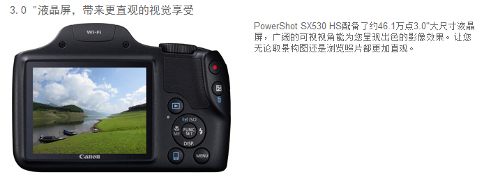 佳能（Canon）PowerShot SX530 HS 数码相机（ 1600万像素 、50倍光学变焦）单机版