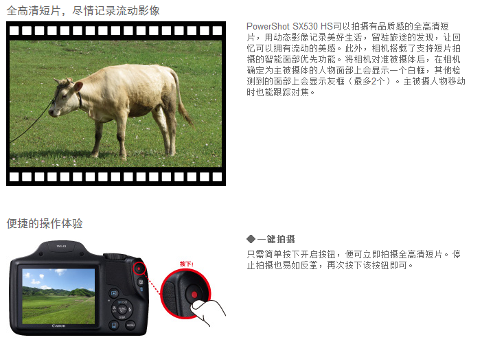 佳能（Canon）PowerShot SX530 HS 数码相机（ 1600万像素 、50倍光学变焦）单机版