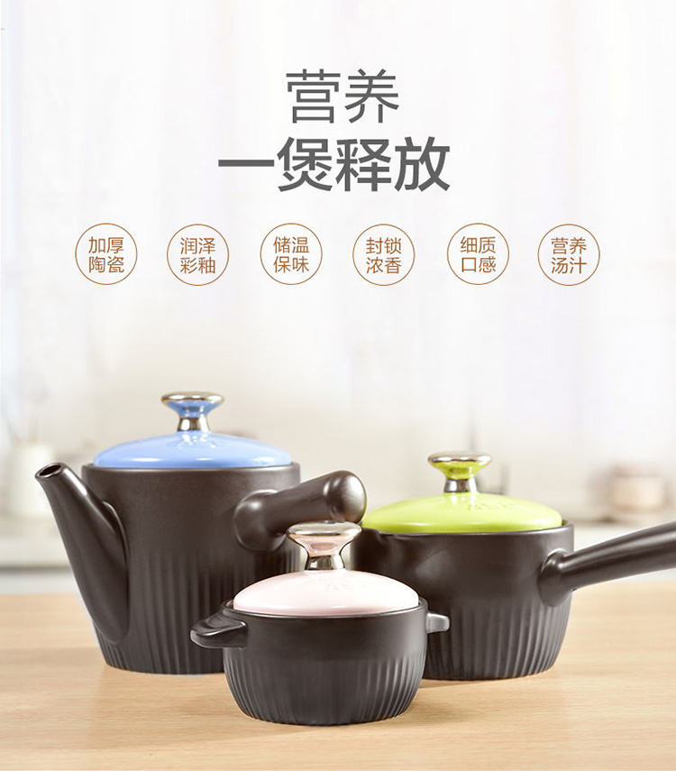 爱仕达asd 耐热陶瓷砂锅煲汤养生煲 明火药膳煲可煎中药rxc25b2qy 2.