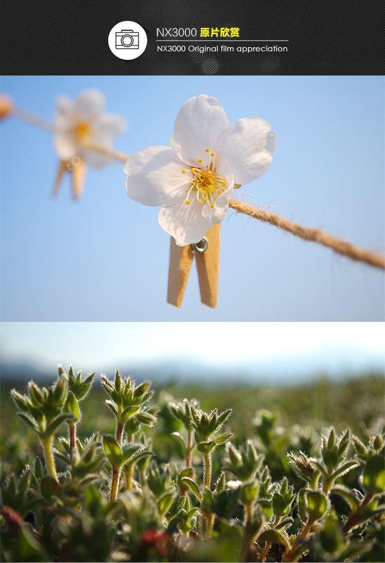 三星（SAMSUNG） NX3000智能WIFI 微型单电套机（16mm-50mm）内置16G卡 闪光灯（白色）