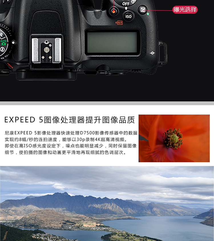尼康(Nikon)D7500单反数码照相机 套机(AF-S ...-京东