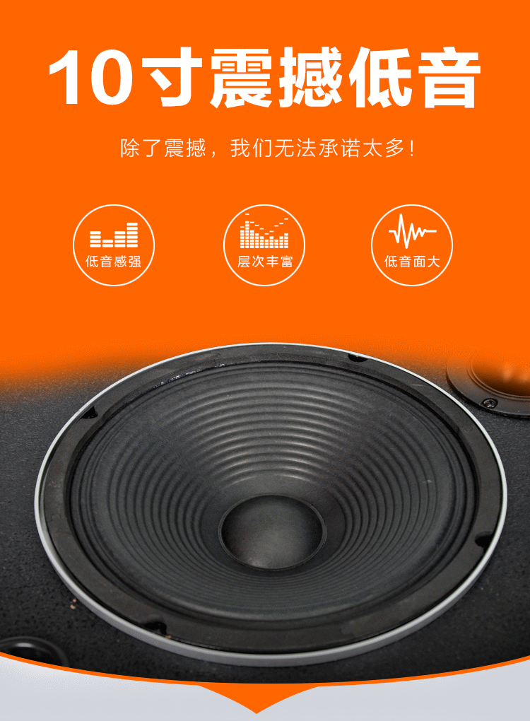 手机数码 影音娱乐 音箱/音响 纽曼(newmine)301d 10寸广场舞音箱