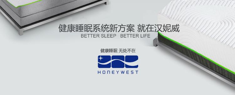 
                                        
                                                            汉妮威 记忆棉 护腰 椅子靠垫 办公室腰垫 8HP080303 咖啡色                
