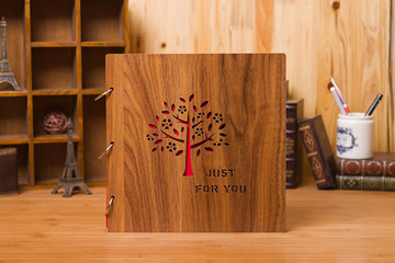 
                                        【京东超市】晟旎尚品 DIY相册大本情侣宝宝影集 自制手工粘贴式纪念册创意礼物品 木质16寸 梦想树                