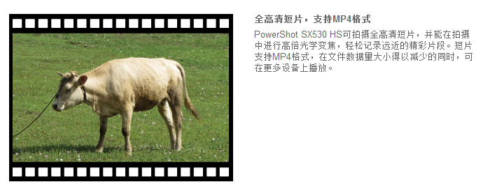 佳能（Canon）PowerShot SX530 HS 数码相机（ 1600万像素 、50倍光学变焦）单机版