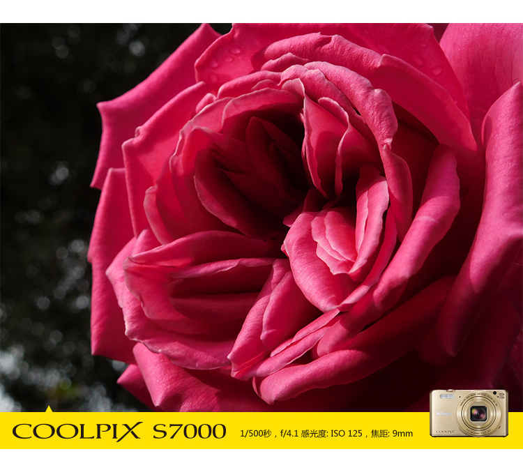 
                                        尼康（Nikon）COOLPIX S7000 数码相机 金色 (1602万有效像素 20倍光变 背入式CMOS 3英寸屏 25mm广角 WIFI)                