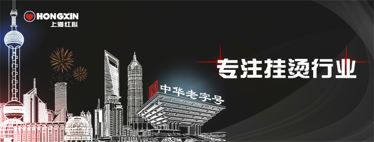 红心（Hongxin）电熨斗RH165 家用熨斗（咖啡色五档）