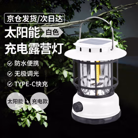 远波 太阳能LED露营灯可充电超长待机多功能户外复古马灯防水照明灯 太阳能+充电款【白色】