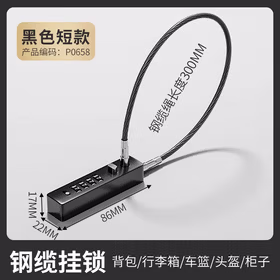 迪普尔密码锁头盔自行车防盗钢丝挂锁电动车行李箱车筐柜子储物宿舍链条
