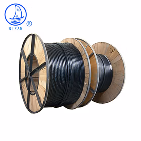 起帆电线电缆 ZC/ZR-YJV2*1.5平方0.6/1kV国标2芯阻燃铜芯电力电缆硬线 1米