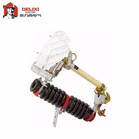 德力西电气 户外交流高压跌落熔断器；RW10-12F 75A 3只/组