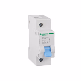 施耐德电气 LS8 高额定电流断路器 1P 6KA D 80A