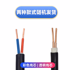 鼎献 电线电缆 国标YJV 2*1.5平方 铜芯电线 二芯阻燃架空户外防老化线缆 全项保检 50米