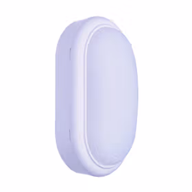 飞利浦 明晖LED小面包灯；WL008C LED10/NW oval W