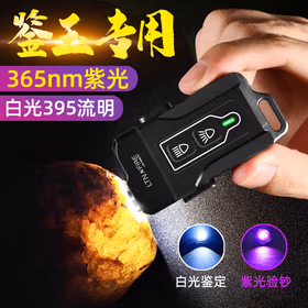 镭特宁 6008 Pro照玉石强光手电筒迷你 365nm紫光灯鉴定珠宝古玉专用可充电验钞