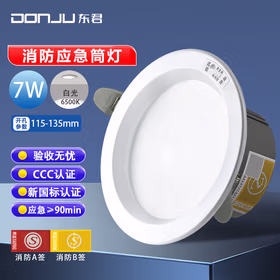 东君 LED消防应急筒灯 7W 白光 4寸 开孔120-125mm DJ-05G 两只装
