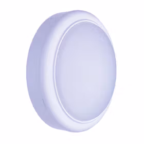 飞利浦 明晖LED小面包灯；WL008C LED10/NW round W