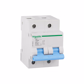 施耐德电气 LS8  高额定电流断路器 2P 6kA C 80A 400V