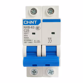 正泰 NXB-63 小型断路器；NXB-63 2P C25