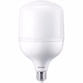 飞利浦（PHILIPS）恒亮型LED中低天棚灯 80W 865 E40 G4