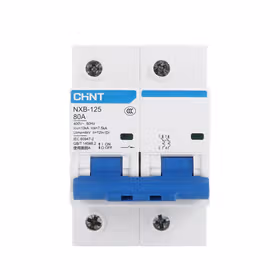 正泰 NXB-125 小型断路器；NXB-125 2P C80