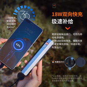 FENIX菲尼克斯 工业手电筒 E-CP曜石黑 长续航强光远射照明可放电倒立工业手电筒