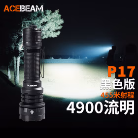ACEBEAM 捍卫者P17手电筒强光超亮4900流明战术双尾按户外搜索巡逻防卫 黑色