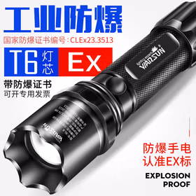 沃尔森 Warsun 防爆手电筒带防爆证led强光可充电超亮多功能户外专用巡逻隔爆加油站化工5w-3.7v
