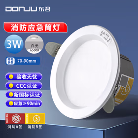 东君 LED消防应急筒灯 2.5寸 开孔75-80mm DJ-05G 3W 白光 两只装