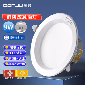 东君 LED消防应急筒灯 6寸 开孔150-155mm DJ-05G 9W 白光 两只装