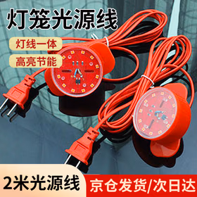 远波 防水LED灯泡红光灯笼专用灯座插座灯线一体酒店商场饭店春节庆典节日灯笼伴侣 2米电源线（京仓发货）