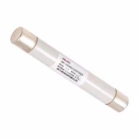 德力西电气 电压互感器保护用高压限流熔断器；XRNP1-12KV 2A 体 (&Phi;25&times;195)