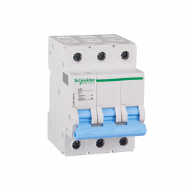 施耐德电气 LS8 高额定电流断路器 2P 6kA C 100A 400V