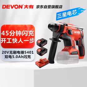 大有20V无刷充电锂电电锤5401冲击钻电镐两用混凝土开凿双电5.0闪充