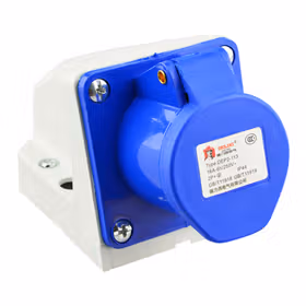 德力西电气 工业用明装插座；DEP2-113 16A 3芯 250V