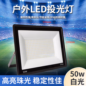 欧国兰 led投光灯防水节能灯聚光投射广告灯京仓发货 50W-白光
