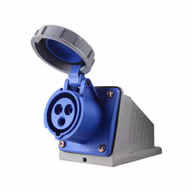 德力西电气 工业明装插座；DEP2-1132 IP67 16A 3芯 250V工业明装插座