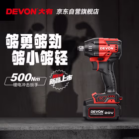 大有20V锂电无刷电动扳手5765充电式冲击扳手锯扳双电5.0标充