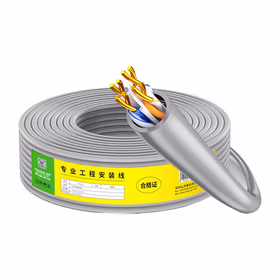 山泽（SAMZHE）六类网线(0.51&plusmn;0.02mm)CAT6类非屏蔽千兆网线纯铜线芯家装布线网络用线100米；BH6100