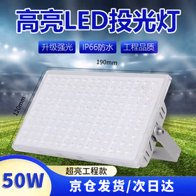 远波 led蚂蚁投光灯户外防水超亮厂房工地球场体育馆广场照明灯 工程款50W白光-足瓦（京仓发货）