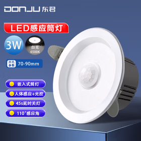 东君 LED人体感应筒灯 2.5寸 开孔75-80mm DJ-05G 3W 白光 两只装