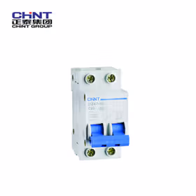 正泰 微型断路器；DZ47-60 2P 25A#C (R)