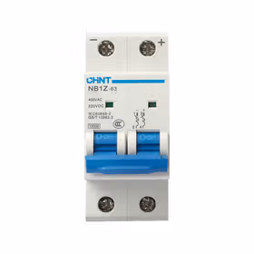 正泰 微型断路器；NB1Z-63 2P C2 AC400V DC220V(R)