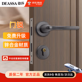 德莎（DEASS）室内木门锁 磁吸锁通用分体磁吸锁 把手左右方向通用 F02(灰电镀)