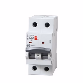 常熟开关 隔离开关 2P 32A；CH3G-125/32/2