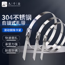 九千谷自锁式304不锈钢扎带 耐腐蚀耐高低温金属工业扎带 园林户外捆绑扎带防滑固定线缆4.6x200mm 50条装